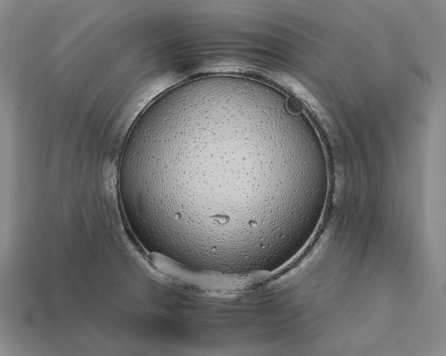 X0000115261329200911131738