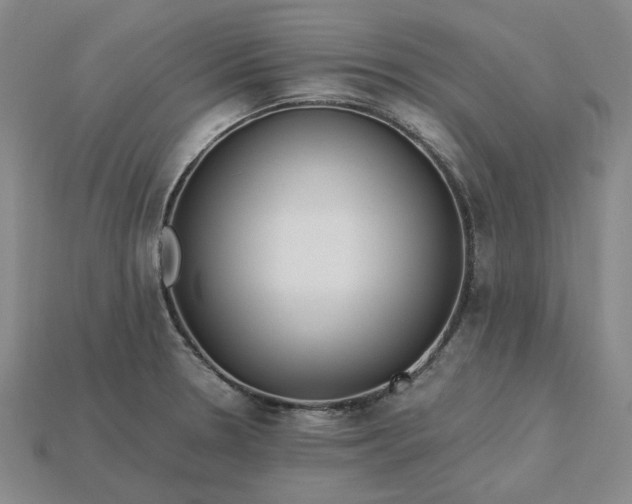 X0000115261330200911131738