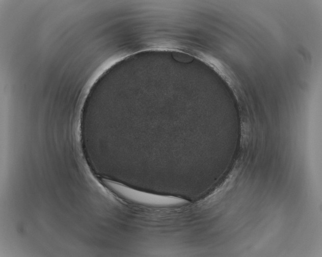 X0000115261331200911131738