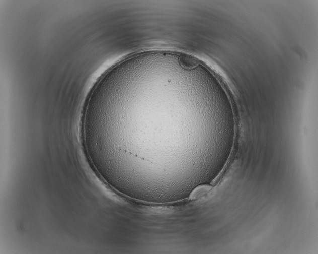 X0000115261333200911131738