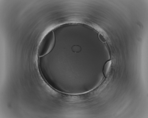 X0000115261334200911131738