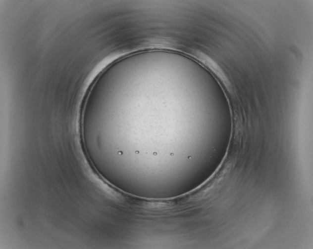 X0000115261339200911131738