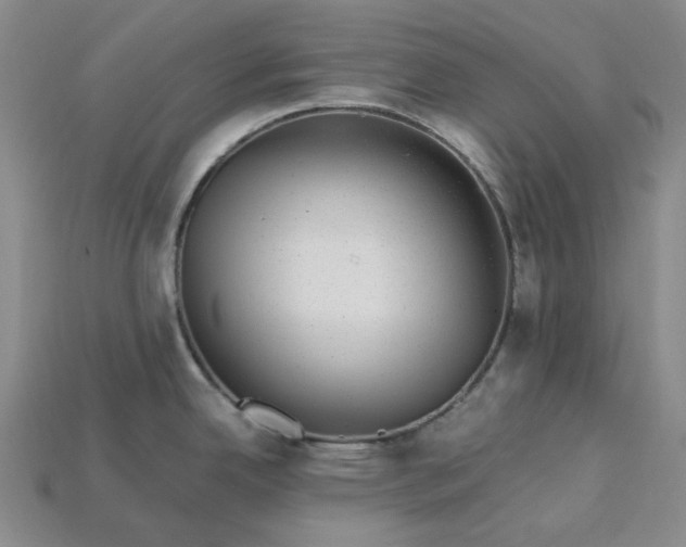 X0000115261342200911131738