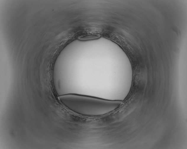 X0000115261345200911131737
