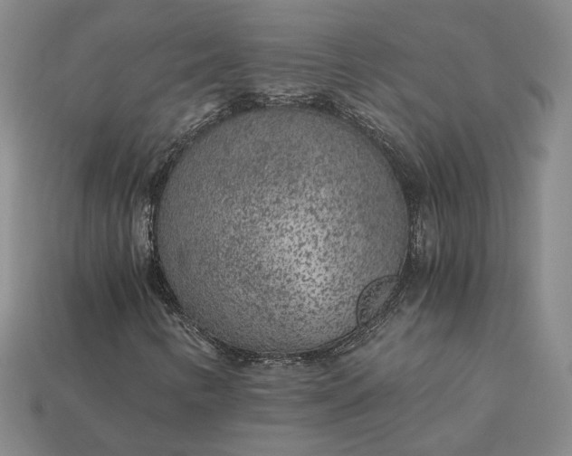 X0000115261346200911131737