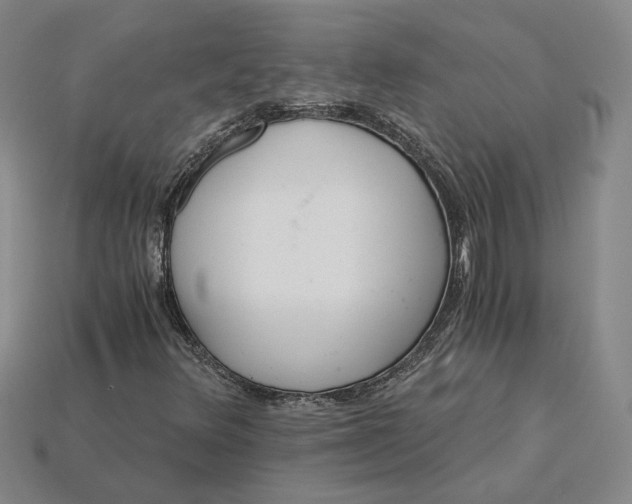 X0000115261348200911131737