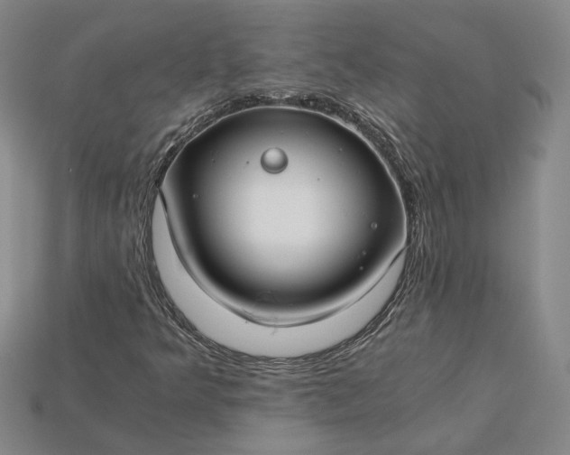 X0000115261349200911131737