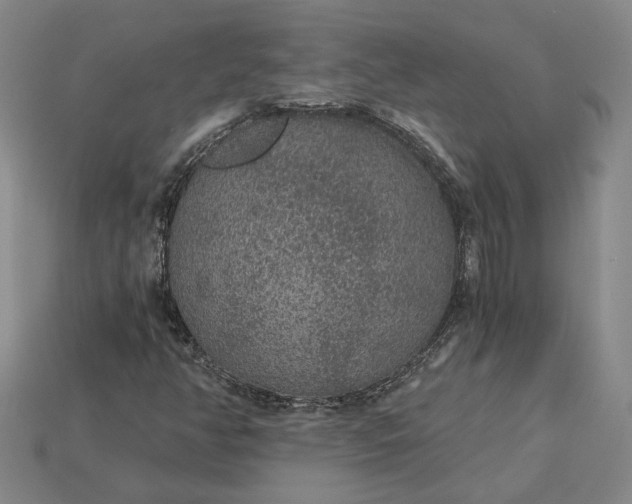 X0000115261350200911131737