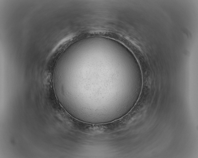 X0000115261351200911131737