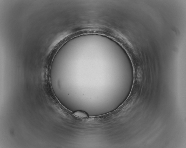 X0000115261352200911131737