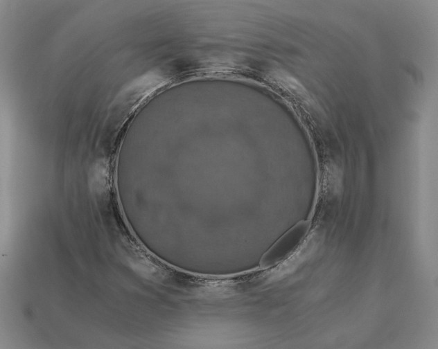 X0000115261353200911131737