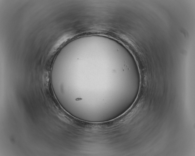 X0000115261355200911131737