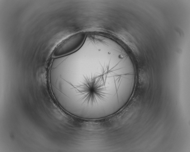 X0000115261356200911131737