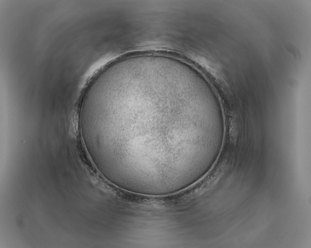 X0000115261358200911131737