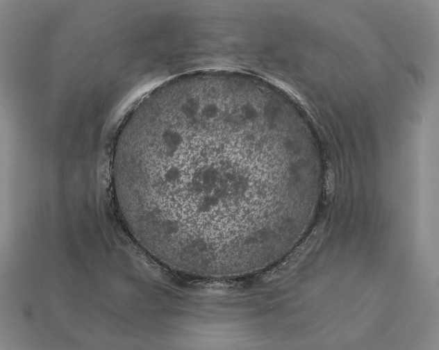 X0000115261359200911131737