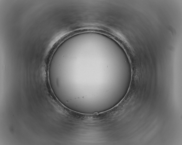 X0000115261360200911131737
