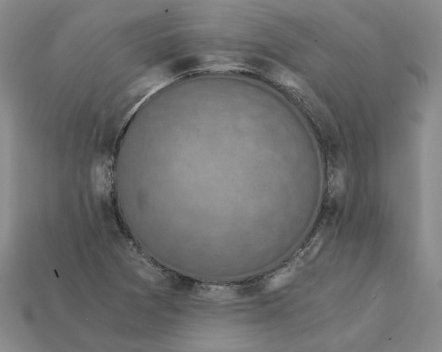 X0000115261361200911131737
