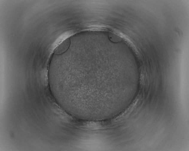X0000115261362200911131737