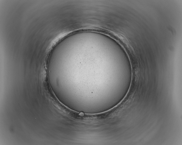 X0000115261363200911131737
