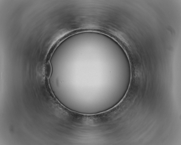 X0000115261364200911131737