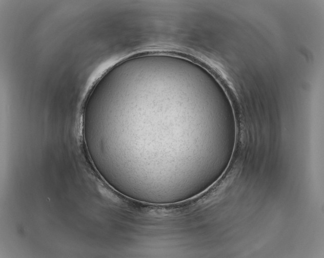 X0000115261366200911131737
