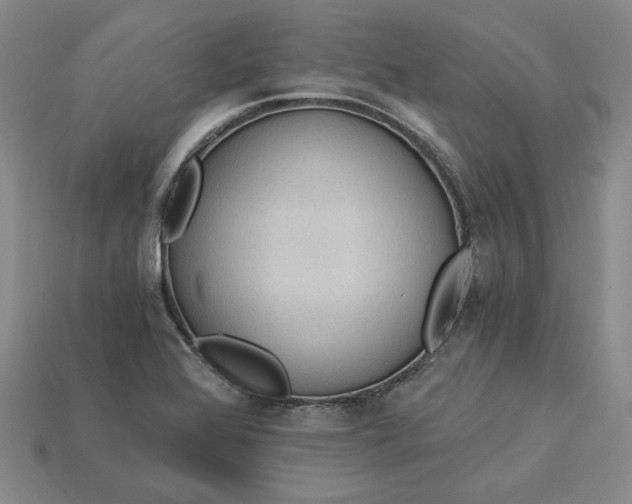 X0000115261368200911131737