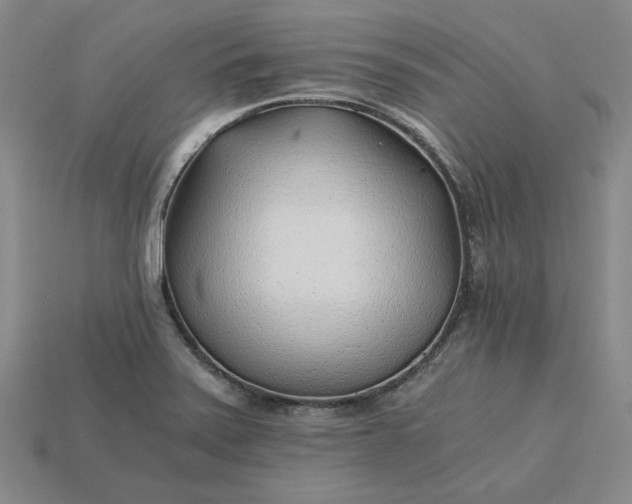 X0000115261371200911131737