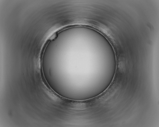 X0000115261372200911131737
