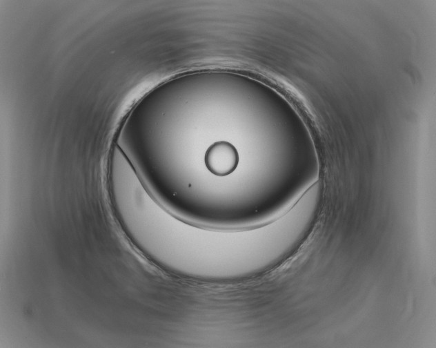 X0000115261373200911131737