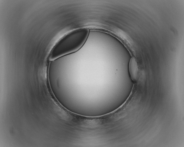 X0000115261376200911131737