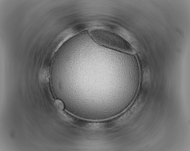 X0000115261377200911131737