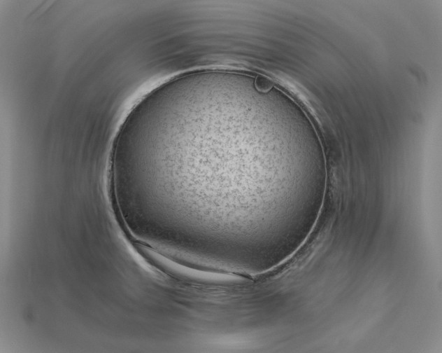 X0000115261379200911131737