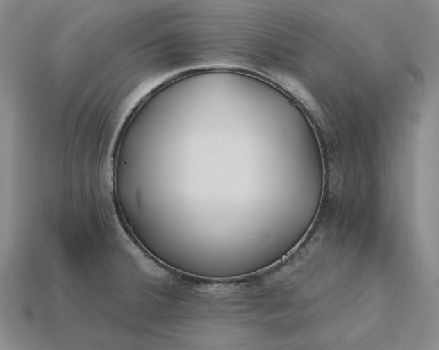 X0000115261380200911131737