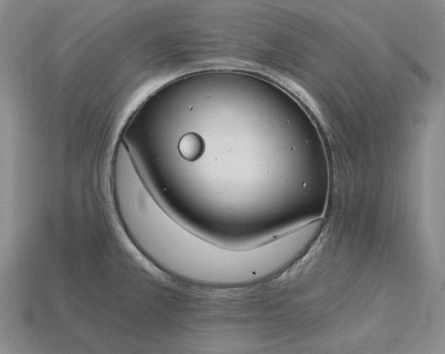 X0000115261381200911131737