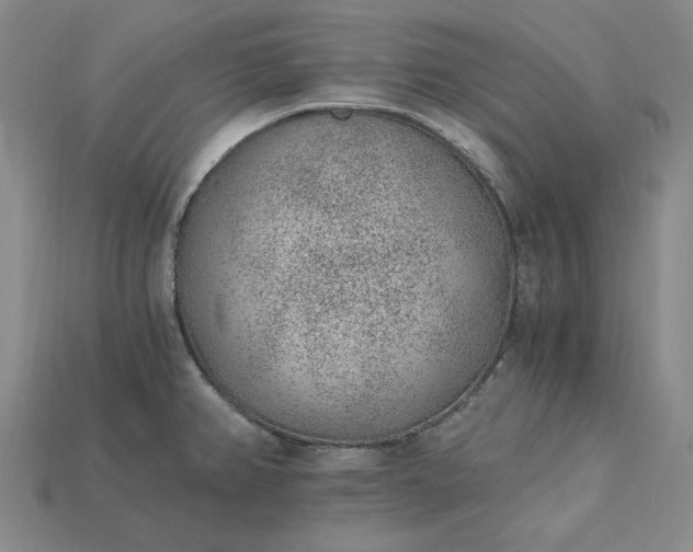 X0000115261382200911131737