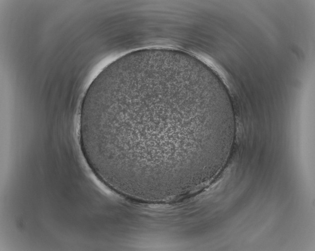 X0000115261383200911131737