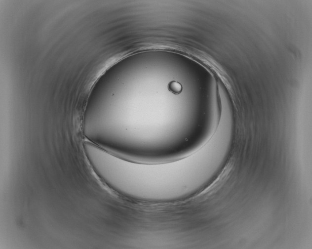 X0000115261385200911131737