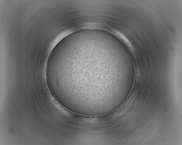 X0000115261386200911131737