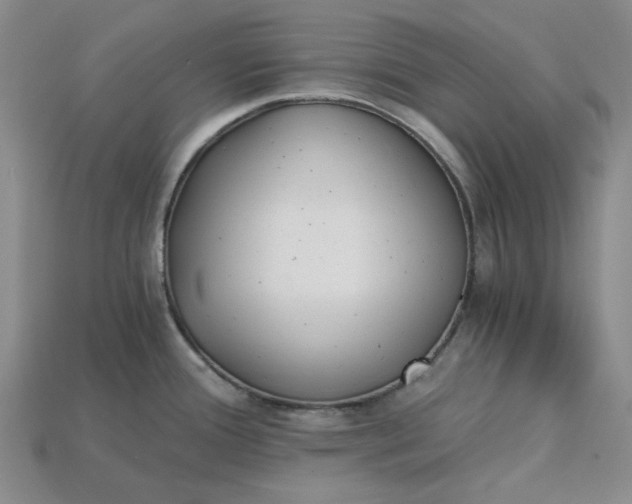X0000115261388200911131737