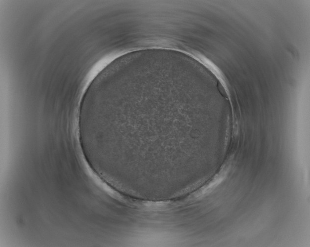 X0000115261389200911131737