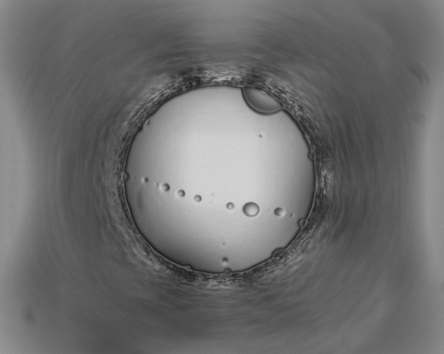 X0000115261393200911131736