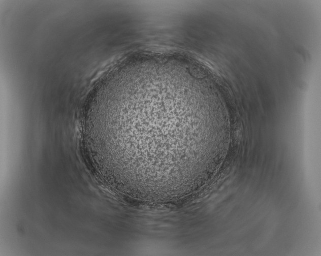 X0000115261397200911131736