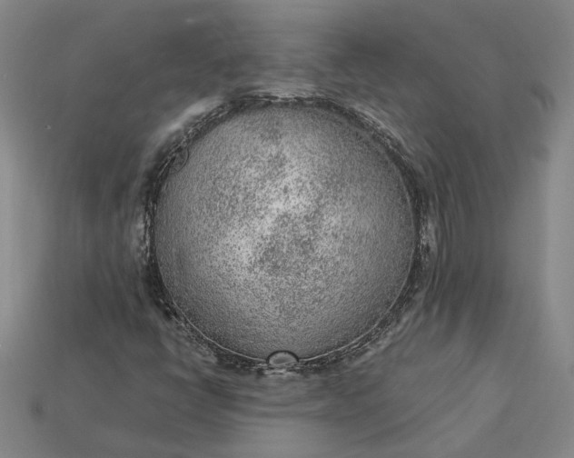 X0000115261398200911131736