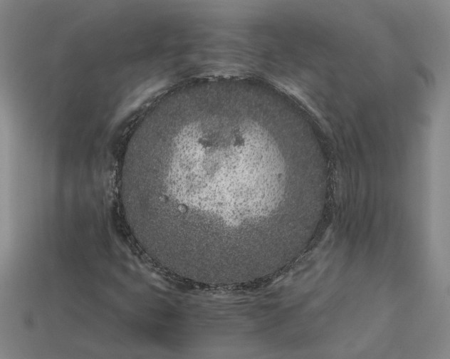 X0000115261399200911131736