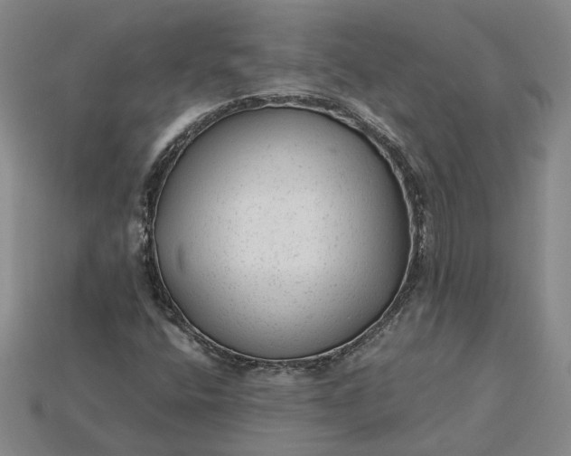 X0000115261400200911131736