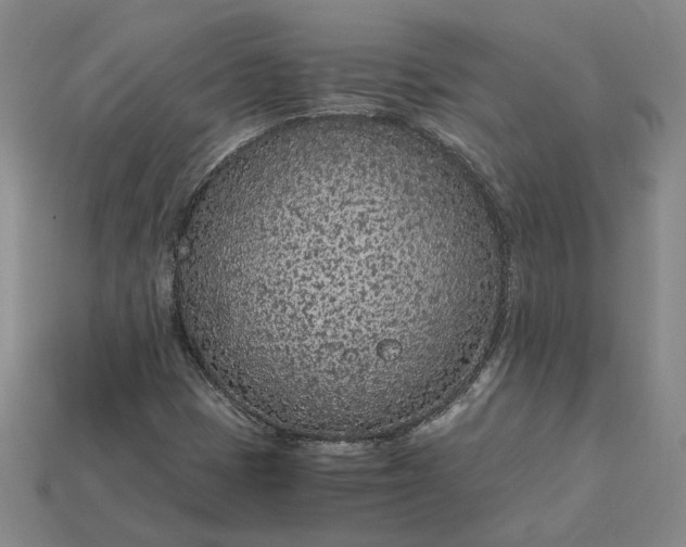X0000115261401200911131736