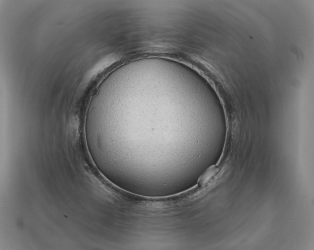 X0000115261402200911131736