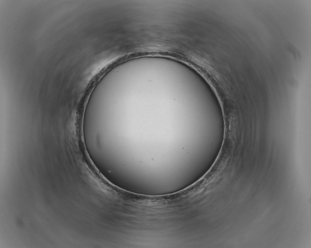 X0000115261404200911131736