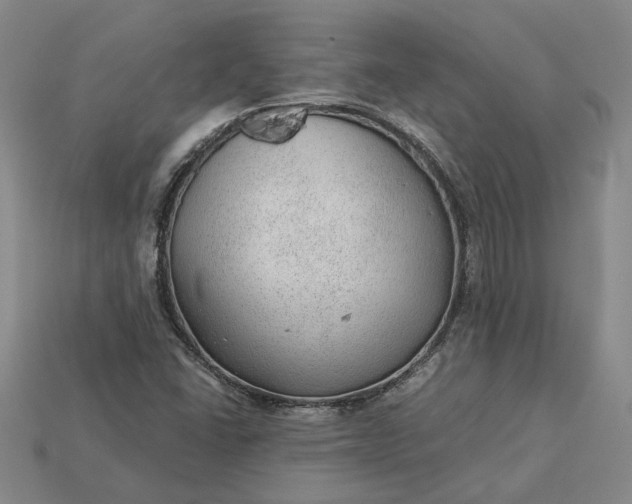 X0000115261406200911131736