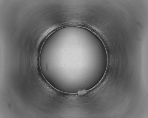 X0000115261410200911131736